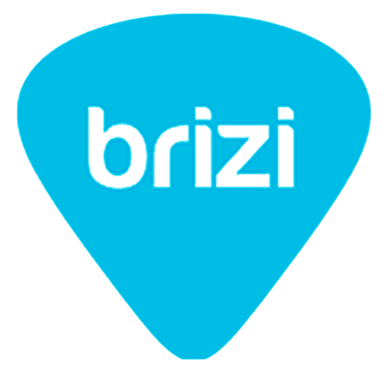 Brizi